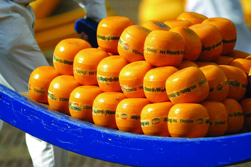 Cheese Market in Alkmaar, Holland