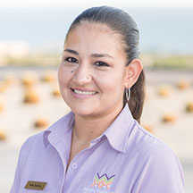 Ana Santos, Mexico Planners by Transcabo