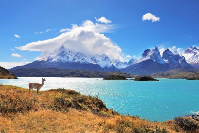 Chile DMC Destination