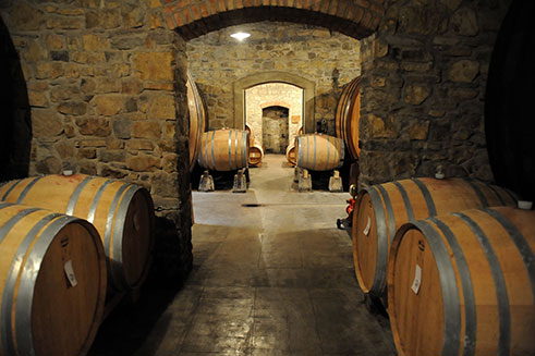 Italy wine cellar travel destination